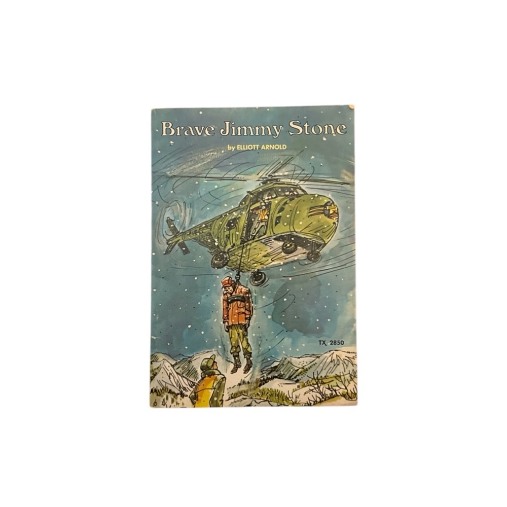 VTG Brave Jimmy Stone By Elliott Arnold Scholastic Book Services 1974 Paperback